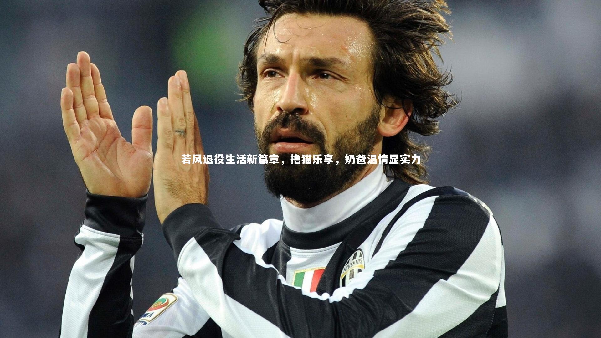 若风退役生活新篇章,撸猫乐享,奶爸温情显实力